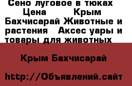 Сено луговое в тюках › Цена ­ 70 - Крым, Бахчисарай Животные и растения » Аксесcуары и товары для животных   . Крым,Бахчисарай